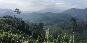Beitragsbild des Blogbeitrags Why Vietnam is always a great destination