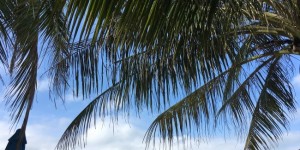 Beitragsbild des Blogbeitrags The beach of Phu Quoc