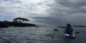 Beitragsbild des Blogbeitrags Kayaking around Isabela Island