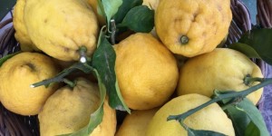 Beitragsbild des Blogbeitrags What I learned in Naples