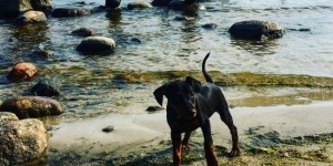 Beitragsbild des Blogbeitrags The beaches of Latvia