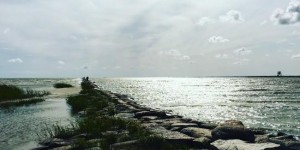 Beitragsbild des Blogbeitrags What I learned in Estonia