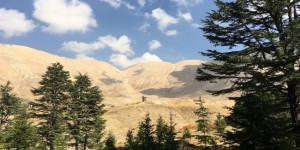 Beitragsbild des Blogbeitrags The Cedars of God 