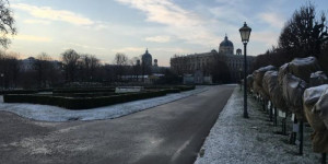 Beitragsbild des Blogbeitrags Morning walks in Vienna during lockdown