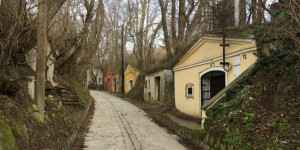 Beitragsbild des Blogbeitrags A winter walk in Vienna – am Bisamberg 