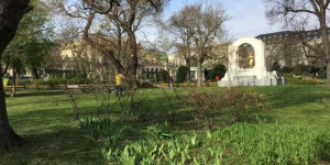 Beitragsbild des Blogbeitrags A spring walk in Vienna – Stadtpark