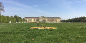 Beitragsbild des Blogbeitrags A spring walk in Vienna – Schönbrunn Palace 