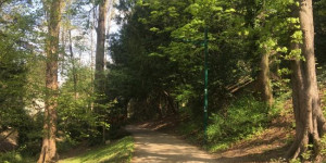 Beitragsbild des Blogbeitrags A spring walk in Vienna – Wertheimstein Park