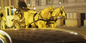 Beitragsbild des Blogbeitrags Christkindlmarkt auf der Freyung 