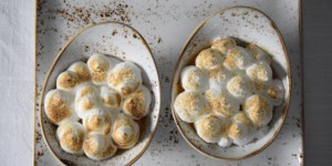 Beitragsbild des Blogbeitrags Ribiselschaumkuchen / Marillenschaumkuchen