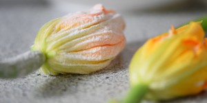 Beitragsbild des Blogbeitrags Paradiesblüten