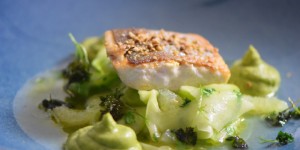 Beitragsbild des Blogbeitrags Bachsaibling mit Korianderducca und Limettengurken 