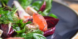 Beitragsbild des Blogbeitrags Radicchio-Grapefruit-Salat 