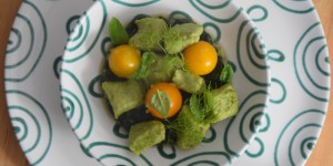Beitragsbild des Blogbeitrags Basilikum-Gnocchi mit Spinat und Tomaten