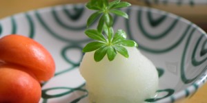 Beitragsbild des Blogbeitrags Waldmeister-Sorbet