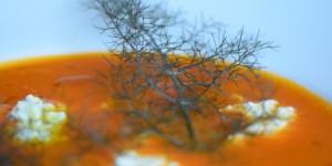 Beitragsbild des Blogbeitrags Rote Lava-Suppe