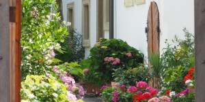 Beitragsbild des Blogbeitrags Ruster Hof am Alten Stadttor