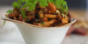 Beitragsbild des Blogbeitrags Kerbel-Eierschwammerlsalat mit Pignoli