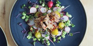 Beitragsbild des Blogbeitrags Kresse-Thunfischsalat
