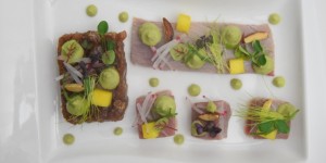 Beitragsbild des Blogbeitrags Rohe Thunfisch-Variationen