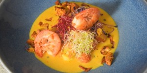 Beitragsbild des Blogbeitrags Crevetten-Curry mit grünem Pfeffer und Tomaten