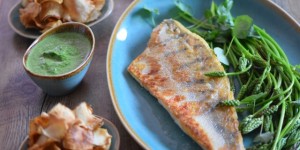 Beitragsbild des Blogbeitrags Zander mit Wildspargel, Brunnenkresse-Püree und Topinambur-Chips