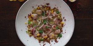 Beitragsbild des Blogbeitrags Ceviche Tropical 