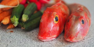 Beitragsbild des Blogbeitrags Knurrhahn mit Mini-Gemüse