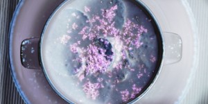 Beitragsbild des Blogbeitrags Pilzsuppe, Pastete, Wild und Maronireis