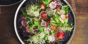 Beitragsbild des Blogbeitrags Quinoapuffer, Paprikasauce und Salat mit selbstangebauten Sprossen 