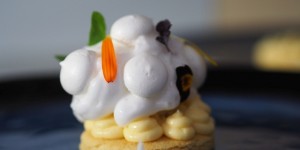 Beitragsbild des Blogbeitrags Zitronentörtchen im Singapur-Stil 