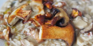 Beitragsbild des Blogbeitrags Giotto-Risotto