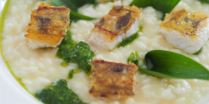Beitragsbild des Blogbeitrags Traumhaftes Risotto