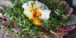 Beitragsbild des Blogbeitrags Dünn aufgeschnittene Radieschen mit Sesam-Dressing und Bauernbrot