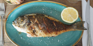 Beitragsbild des Blogbeitrags Dorade – kein Fisch zum Anbeißen 