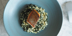 Beitragsbild des Blogbeitrags Risotto mit Schwarzkohl und Lachsschnitte