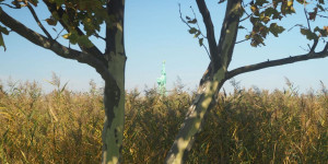 Beitragsbild des Blogbeitrags Ein Sonntag in Mörbisch