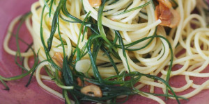 Beitragsbild des Blogbeitrags Spaghetti, die einen Bart haben, aber keinen langen