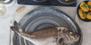 Beitragsbild des Blogbeitrags Gekochter Fisch – Pesce Lesso