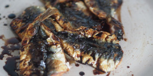 Beitragsbild des Blogbeitrags Gebratene Sardinen in Tomatenmarinade