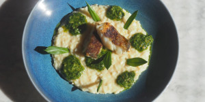 Beitragsbild des Blogbeitrags Risotto mit Waldknoblauch-Pesto und Skrei 