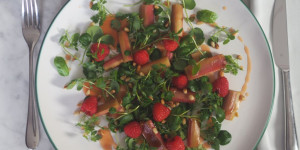 Beitragsbild des Blogbeitrags Brunnenkresse-Rhabarber-Salat mit Pinienkernen und Himbeeren
