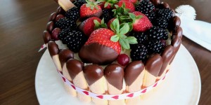 Beitragsbild des Blogbeitrags Früchte Malakofftorte