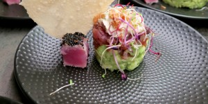 Beitragsbild des Blogbeitrags Thunfisch Tatar auf Avocado-Apfeltatar & Wasabicreme
