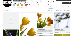 Beitragsbild des Blogbeitrags Wohin mit den ganzen Fotos?