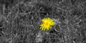 Beitragsbild des Blogbeitrags Monatsrückblick April