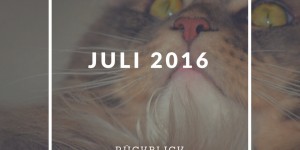 Beitragsbild des Blogbeitrags Monatsrückblick Juli