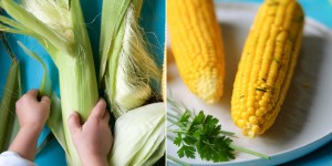 Beitragsbild des Blogbeitrags Maiskolben mit Kräuterbutter – eine schnelle Mahlzeit, die Kinder lieben 