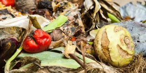 Beitragsbild des Blogbeitrags Weniger Lebensmittelmüll im hektischen Familienalltag? 10 Ideen, die jede/r umsetzen kann 