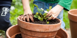 Beitragsbild des Blogbeitrags Gartenprojekt für Kinder: Einen Erdbeerturm bauen (mit eigenen Ablegern)